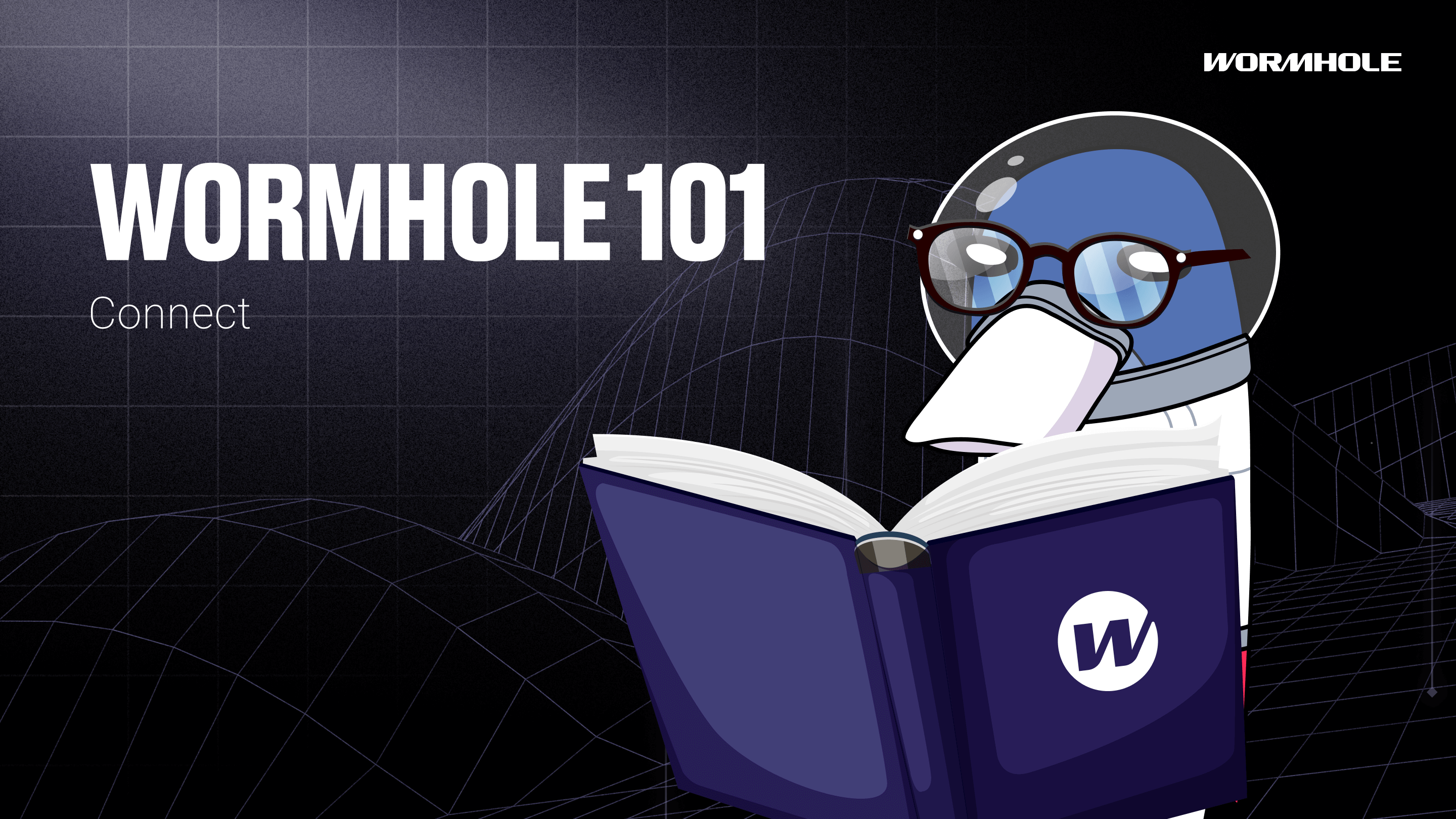 Wormhole 101: connect